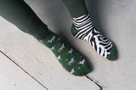 Pánske štýlové ponožky More Zebra 079-A059 zelené